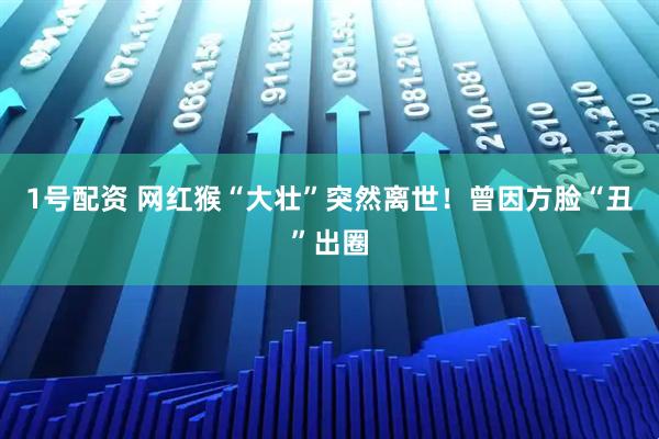 1号配资 网红猴“大壮”突然离世！曾因方脸“丑”出圈