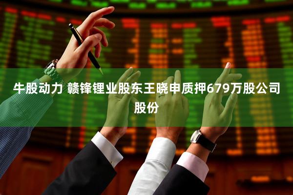 牛股动力 赣锋锂业股东王晓申质押679万股公司股份