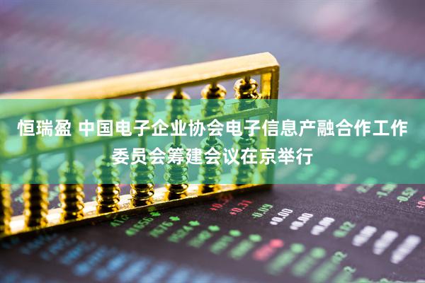 恒瑞盈 中国电子企业协会电子信息产融合作工作委员会筹建会议在京举行