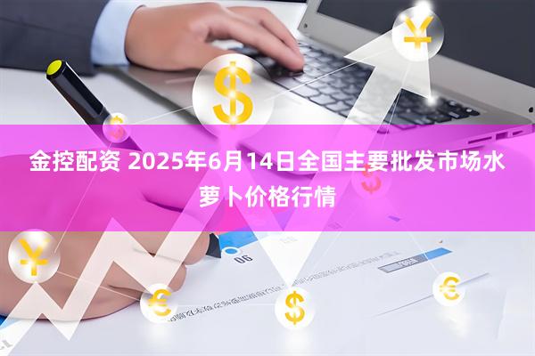 金控配资 2025年6月14日全国主要批发市场水萝卜价格行情