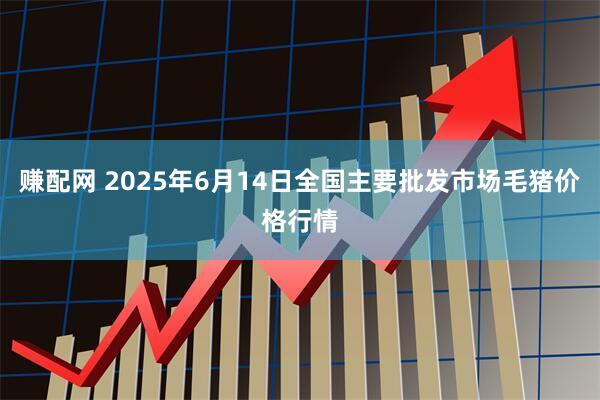 赚配网 2025年6月14日全国主要批发市场毛猪价格行情