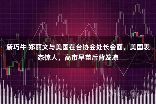 新巧牛 郑丽文与美国在台协会处长会面，美国表态惊人，高市早苗后背发凉