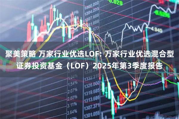 聚美策略 万家行业优选LOF: 万家行业优选混合型证券投资基金(LOF)2025年第3季度报告